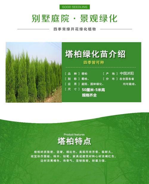 松柏小苗修剪枝条的最佳时机和方法是什么？