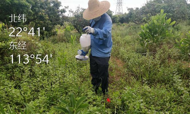铁石怎么种植方法？铁石种植的步骤和注意事项是什么？
