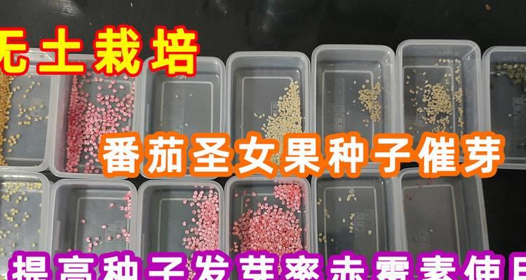 羊奶种子催芽方法是什么？需要多长时间才能发芽？