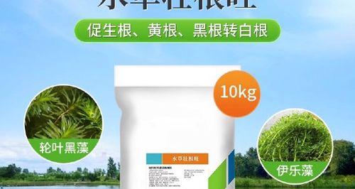 草根催芽的最佳方法是什么？步骤和注意事项有哪些？