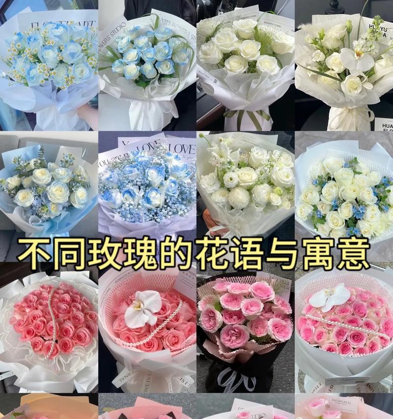 玫瑰花的寓意是什么？不同颜色和数量的玫瑰代表什么含义？