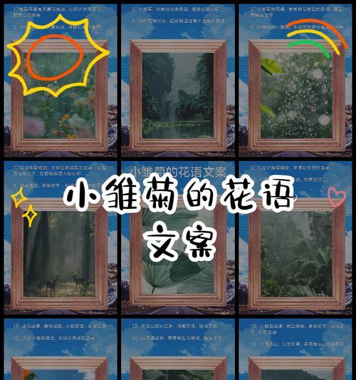 雏菊花语是什么意思？如何正确解读雏菊的花语含义？