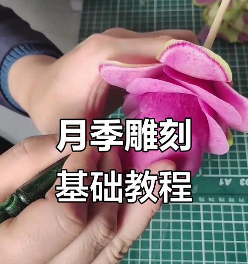 雕刻花的寓意是什么？雕刻花背后隐藏的象征意义有哪些？