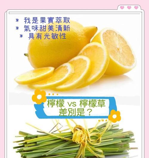 柠檬草的花语是什么？了解柠檬草的象征意义和用途