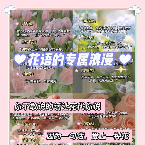 熏衣草的花语是什么？如何用它表达爱意？