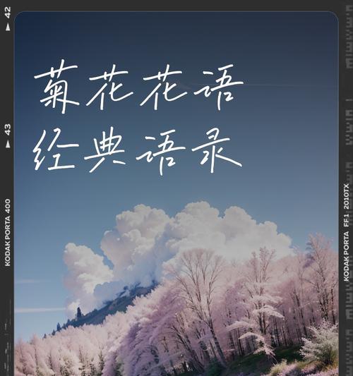 菊花花语是什么意思？如何正确解读菊花的象征意义？
