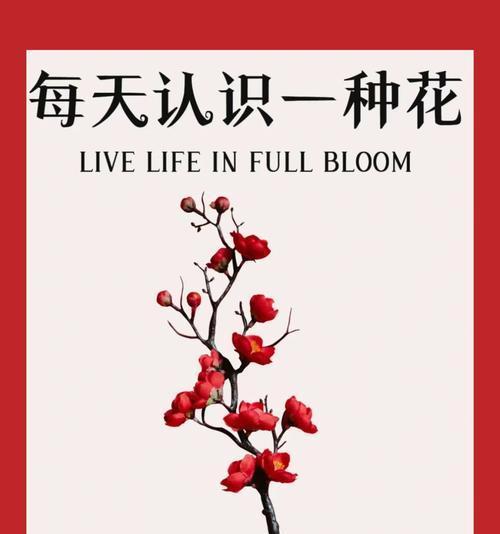 104朵花的寓意是什么意思？如何正确解读花束中的数字含义？