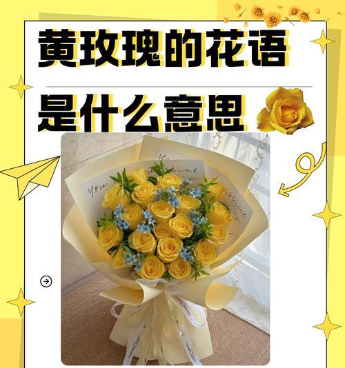 淡黄玫瑰的花语是什么？购买淡黄玫瑰时应注意什么？