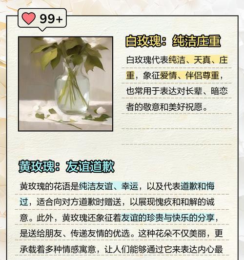 玫瑰花的花语是什么？不同颜色玫瑰代表什么含义？