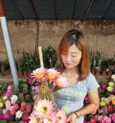 象征着希望曙光的花朵是什么花？这种花的寓意和特点是什么？