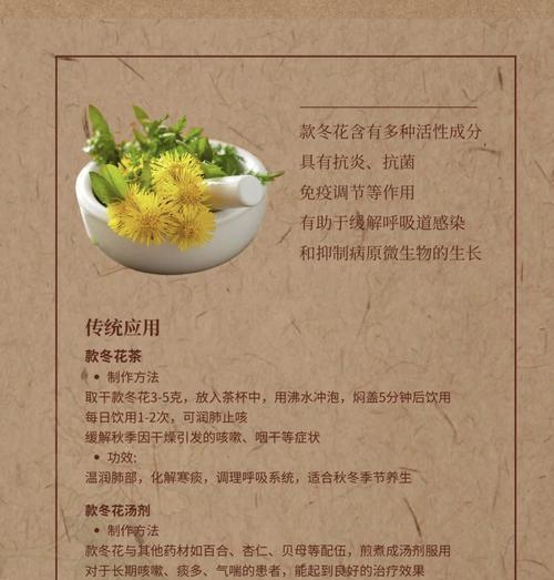像冬日的花语是什么？如何理解冬日花卉的寓意？
