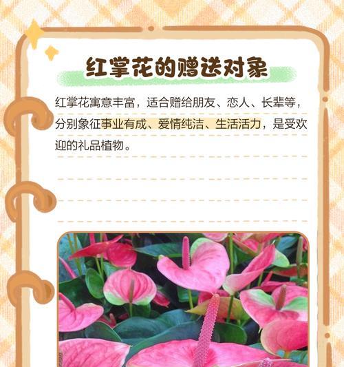 什么花的寓意是色？了解不同花卉的象征意义？