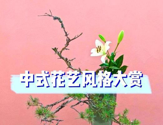 灵魂之花代表什么含义？灵魂之花的象征意义是什么？