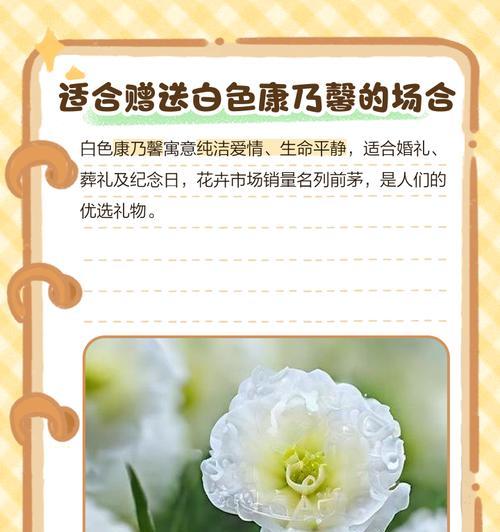 康乃馨温馨花语是什么？如何挑选表达爱意的康乃馨？