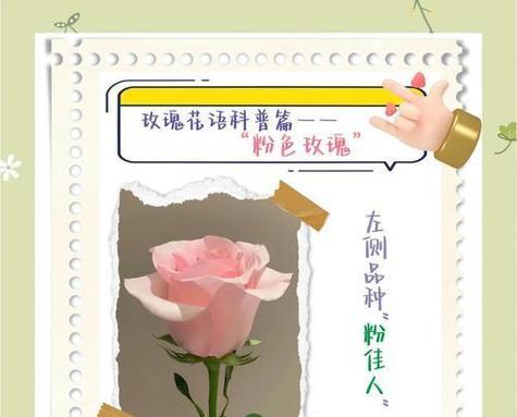 提取口红的花语是什么？如何解读口红颜色的深层含义？