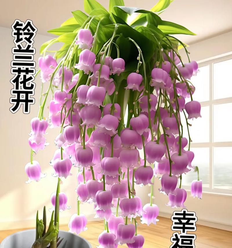 提着的花代表什么含义？不同数量的花束寓意有何不同？