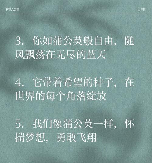 蒲公英的花语是什么寓意？如何理解蒲公英的象征意义？