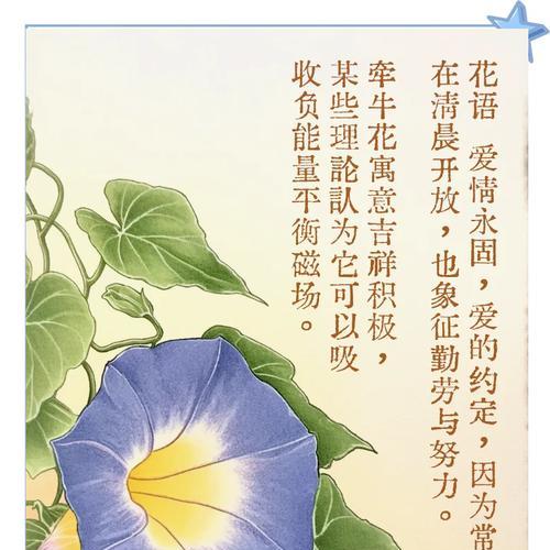 喇叭花的花语是什么？如何用它表达情感？