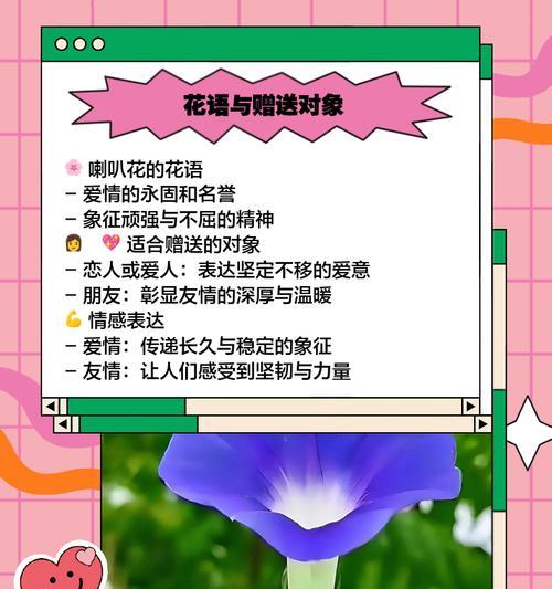 喇叭花的花语是什么？如何用它表达情感？