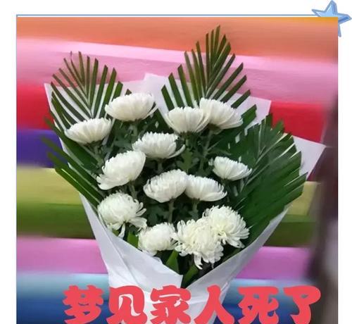 什么花代表亲人离世的心情？如何选择表达哀思的花卉？