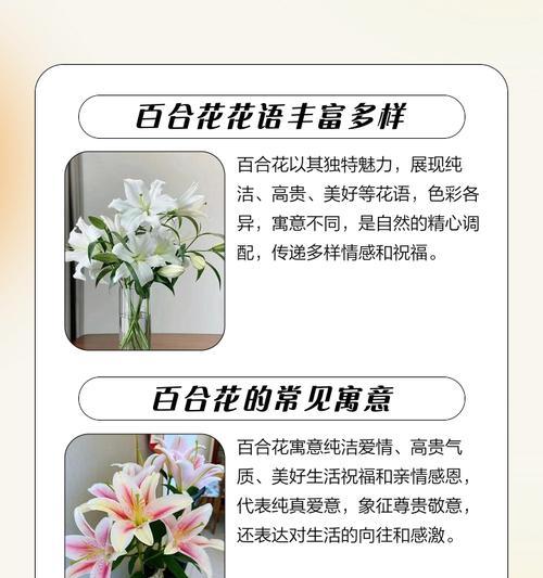 百合花的花语和寓意是什么？选择合适的花瓶有什么技巧？