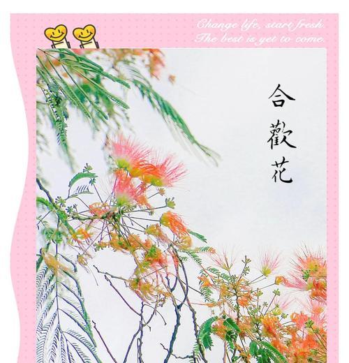 象征和谐共处的花是什么花？寻找代表和平与共融的花卉有哪些？