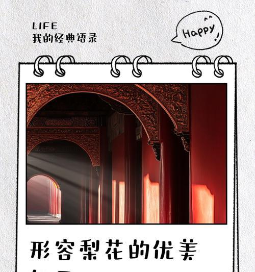 梨花语句是什么意思？如何理解和运用梨花语句？