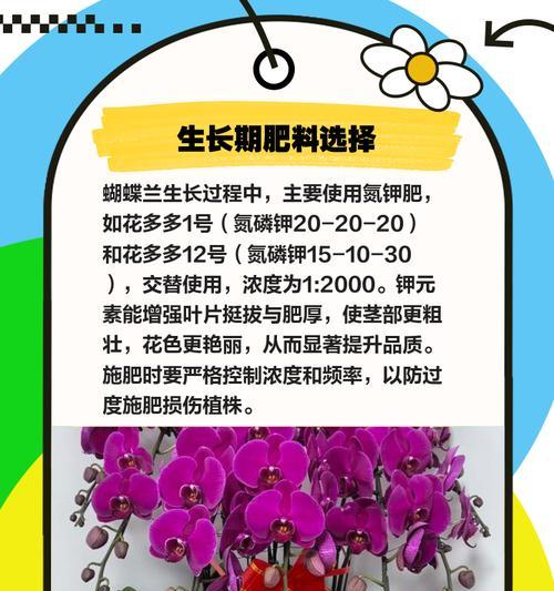 蝴蝶兰专用肥料如何自制？