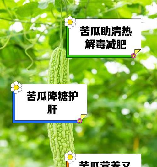 苦瓜的最佳播种时间是什么时候？