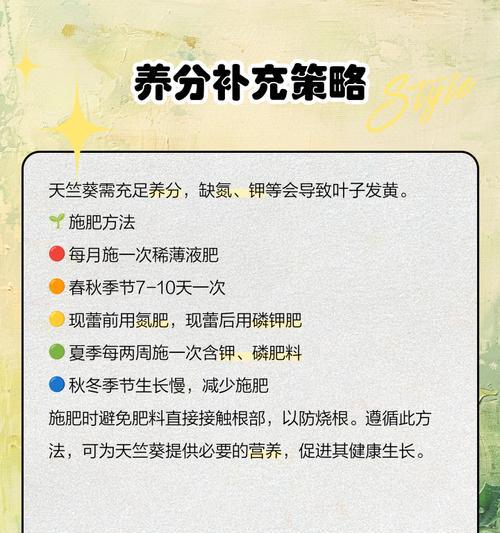 天竺葵黄叶边的管理方法是什么？