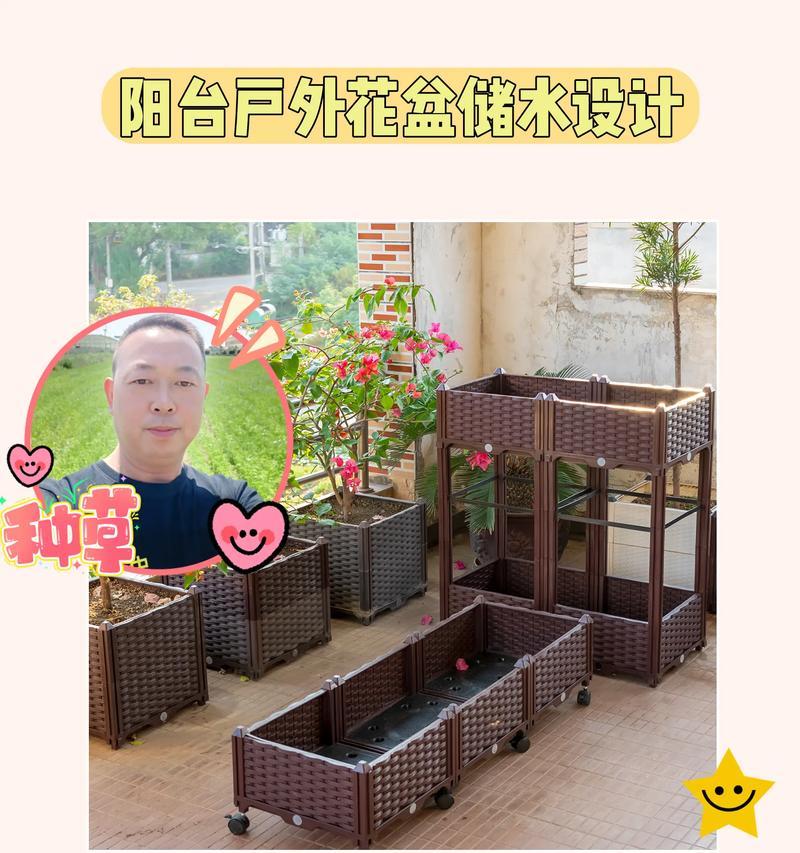 阳台用花箱种什么花？如何选择适合阳台种植的花卉？