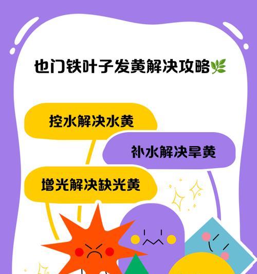 草花叶子发黄怎么办？如何有效控制草花叶子发黄？