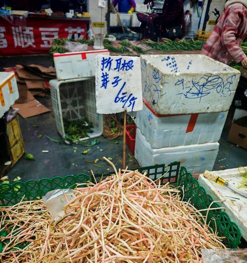 鱼腥草叶子发黄的原因及解决办法是什么？
