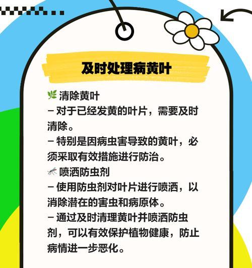 发芽树叶子发黄的处理方法是什么？