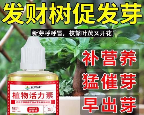 发芽树叶子发黄的处理方法是什么？