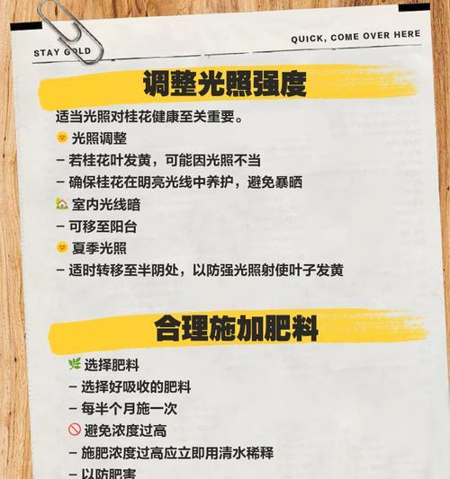 桂花水涝导致叶子发黄如何处理？