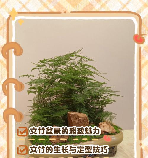 小盆景石如何搭配更和谐？有哪些搭配技巧？