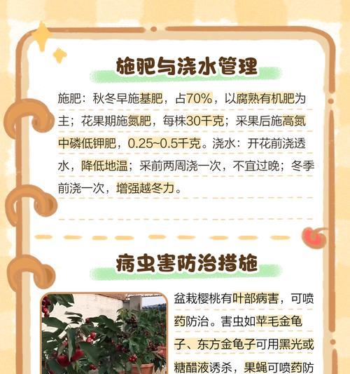 樱桃丰产栽培的关键技术是什么？
