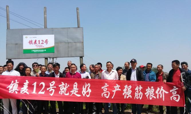 万麦1号栽培的关键技术要点是什么？