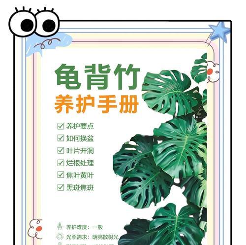 龟背竹分盆后叶子黄了怎么处理？