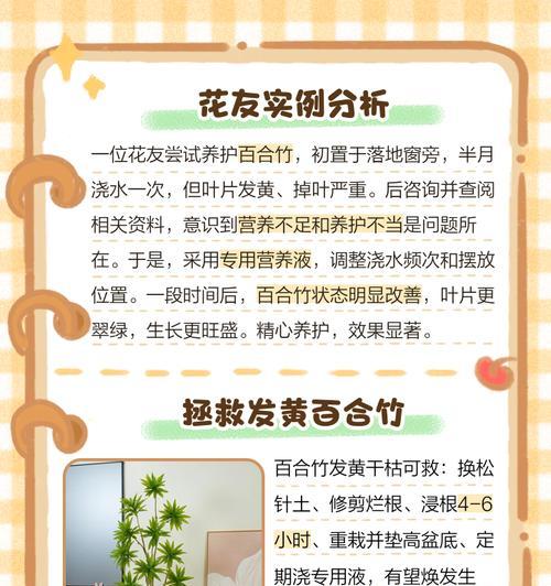 竹子叶子发黄且生长缓慢的原因是什么？