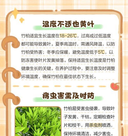 竹子叶子发黄且生长缓慢的原因是什么？