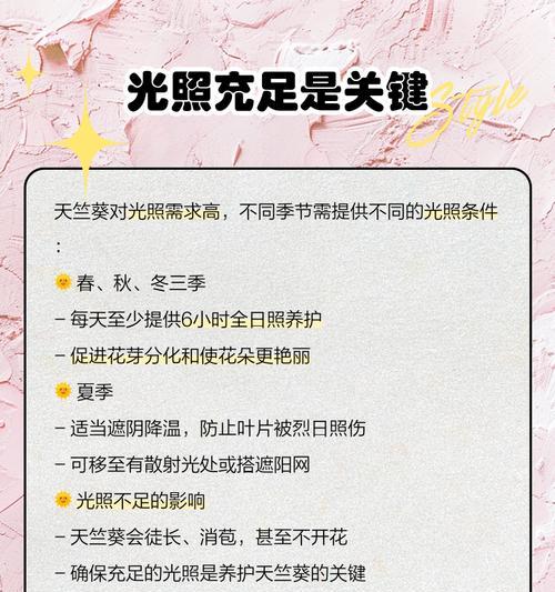 新购天竺葵如何养护？收到后应采取哪些措施？