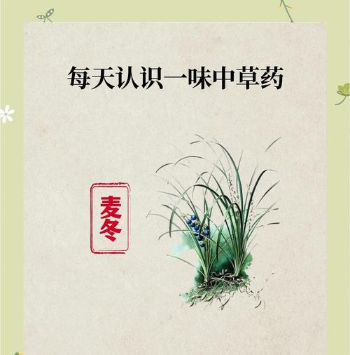 麦冬叶子发黄的原因是什么？