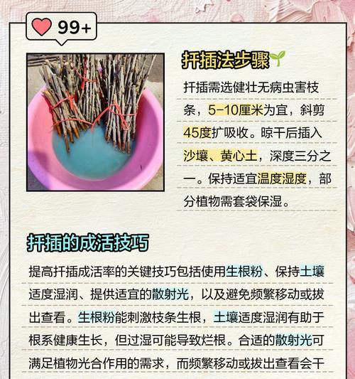 种木本植物土壤怎么样？如何选择合适的土壤？