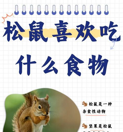 松鼠是如何传播种子的？