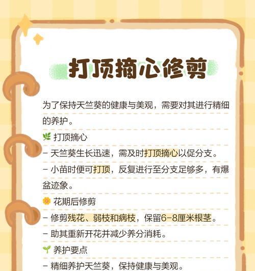 大白鼠天竺葵的养殖技巧有哪些？
