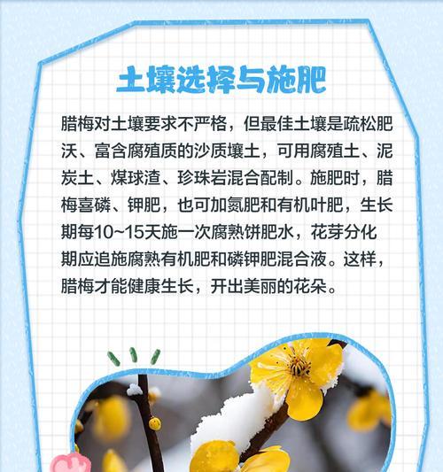 腊梅花瓣肥料自制方法是什么？干花腊梅如何施肥？