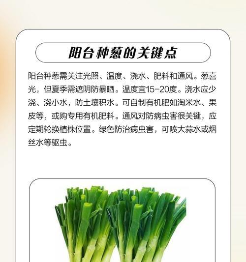 大葱浇水的正确方法和步骤是什么？