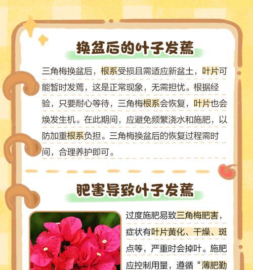 三角梅枝条蔫了的急救措施？